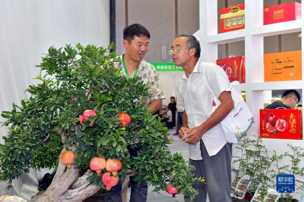 新霸电子游戏入口